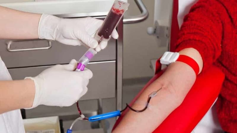 Santa Catarina amplia transfusão de sangue em Criciúma para salvar vidas em emergências graves